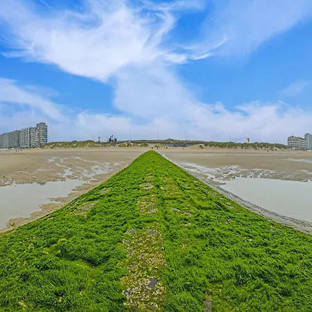Flat In Belgium With Stunning Sea View, Cleaning Included ミデルケルケ