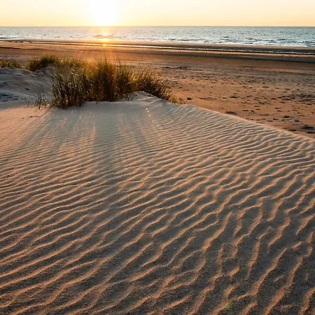 Flat In Belgium With Stunning Sea View, Cleaning Included * ミデルケルケ